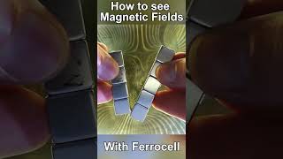 How to see Magnetic Fields with Ferrocell [upl. by Hannahoj]