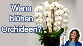 Ihre Orchidee wird das ganze Jahr über blühen 7 einfache aber wirkungsvolle Tipps für Anfänger [upl. by Nnalatsyrc600]