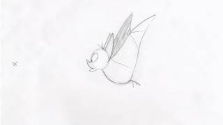 Quick Bird Animation  Pencil Test [upl. by Majka]