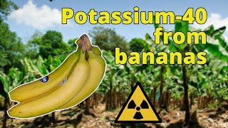 Potassium  40 from radioactive bananas  Nuclear Chemistry [upl. by Egidio]