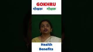 Gokhru ke Fayde in Hindi  गोखरू के फायदे  Gokhru Health Benefits  Himan Ayurveda [upl. by Sholom]