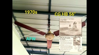 1970s CG HB 56quot 1400mm Ceiling Fan Review AFW [upl. by Ynalem]