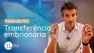 Quais as possibilidades para transferência embrionária na FIV [upl. by Lucier]