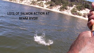 Australian Salmon at Bemm River fishing fishingaustralia salmonfishing eastgippsland [upl. by Rector]