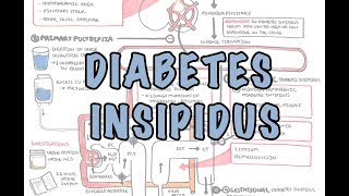 Diabetes Insipidus  Overview causes pathophysiology investigations [upl. by Trip]