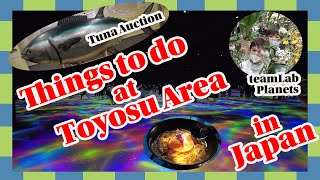 tuna auction teamLab Things to do at Toyosu area in Japan [upl. by Timothy]