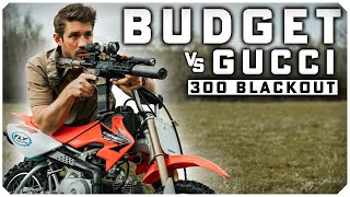 300 Blackout Budget Build  PSA vs Zev vs MCX [upl. by Houser475]