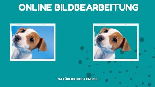 Wie kann ich Bilder bearbeiten  Online Bildbearbeitung [upl. by Noland15]