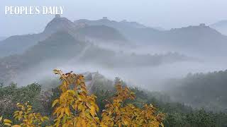 A peaceful morning at the Jinshanling section of the GreatWall！ [upl. by Eltsryk]