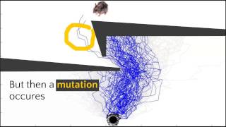 Genetic Algorithm Example [upl. by Dickman]