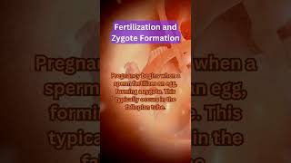 Fertilization and Zygote Formation shorts [upl. by Sigrid]