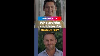 US House District 25 Key issues and candidates [upl. by Billie327]