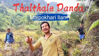 Thalthale Danda  MAIPOKHARI ILAM 2024 [upl. by Jeggar]