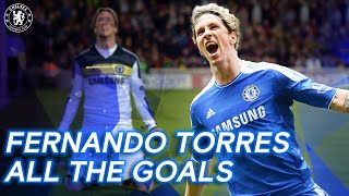 Fernando Torres  All the Goals  Best Goals Compilation  Chelsea FC [upl. by Nelia]