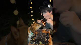 福とタケが食べるの見てて asmr 犬 焚き火 アウトドア キャンプ飯 dog [upl. by Kelton]