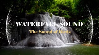 Waterfall Sound amp The Sound of Birds [upl. by Eigriv]