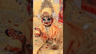 Laddugopal Morning routine लड्डूगोपाल सेवा  shorts viral trending youtube calmdown love [upl. by Maccarone776]