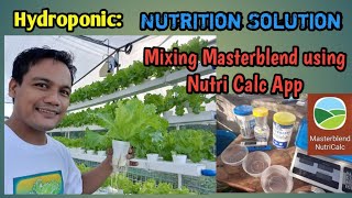 Hydroponic Nutrition Solution Mixing Masterblend for Lettuce using Nutri Calc App [upl. by Wendt]