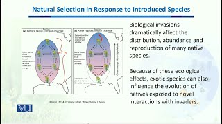 Natural Selection in Response to introduced Species  Biodiversity amp EvolutionII  BT201 Topic150 [upl. by Alyce374]