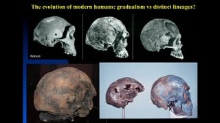 CARTA The Origin of Us  Fossils of Modern Humans Interbreeding within and outside of Africa [upl. by Airamzul]