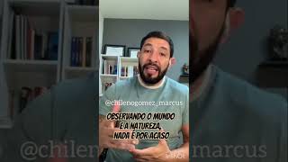 OBSERVANDO O MUNDO E A NATUREZA NADA É POR ACASO vida mundo acaso natureza filósofos observar [upl. by Aelber]