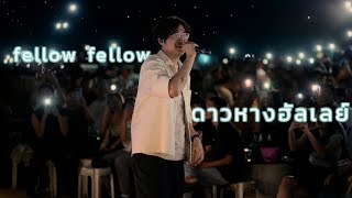 fellow fellow  ดาวหางฮัลเลย์ live [upl. by Aibar]