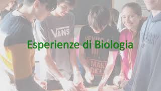 Presentazione Dipartimento Scienze del Liceo quotGOberdanquot di Trieste [upl. by Oilut]