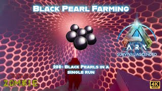 200 Black Pearls in a SINGLE RUN Ark Survival Ascended  The Island [upl. by Aicinoid]