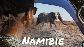 61 Safari avec notre van 4x4 en Namibie Etosha [upl. by Robb]