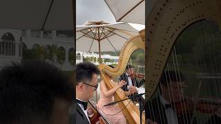 A Thousand Years  Harp Violin amp Cello Trio harphk harp hkweddingharpist athousandyears [upl. by Yaya]