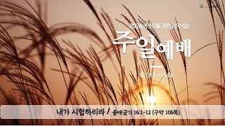 20241018 포도원교회 금요기도회 [upl. by Grimbal215]