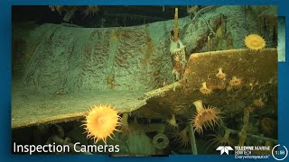 Teledyne Bowtech camera lights and lasers overview [upl. by Astor]