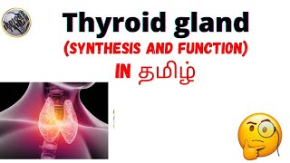 Thyroid gland Thyroid hormonesynthesis functionmedicos tamizha🤔 [upl. by Esilanna243]