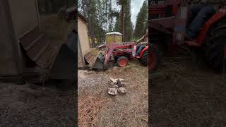 Moving an Old Outhouse the Easy Way montanalife backstreetboys pop [upl. by Eseyt568]