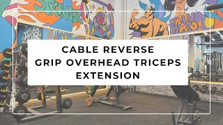 CABLE REVERSE GRIP OVERHEAD TRICEPS EXTENSION [upl. by Basso]