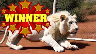 Epic White Lion Jackpot In Safari Ranger Huge Ticket Win At Great Wolf Lodge Northern Lights [upl. by Gilson]