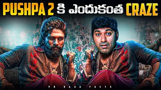 Pushpa 2 Movie Craze Business Strategy Explained  Allu Arjun Sukumar  Telugu  VR Raja Facts [upl. by Ready]