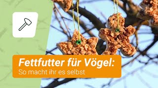 Fettfutter für Vögel selber machen [upl. by Maice]