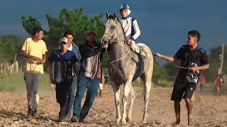 Corrida de Cavalos em ALEGRE DO PIAUÍ  João Costa PI  Torneio [upl. by Rossie43]