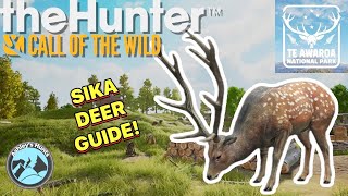 SIKA DEER GUIDE and HOTSPOT MAP The Hunter call of the wild [upl. by Akinnej597]