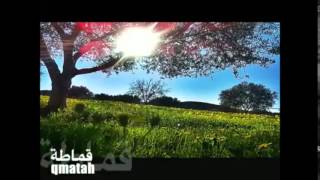 Libyan MusicAna Libi I am Libyan [upl. by Muslim]