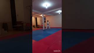 HEIAN NIDAN SHOTOKAN [upl. by Aerdnat]