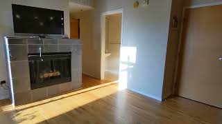 420 S Clinton 2BD2BA  Chicago Rental [upl. by Eba]