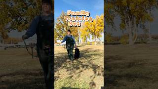 Giant Schnauzer training at the park 🐾 dogshorts giantschnauzer dogtraining [upl. by Semyaj]