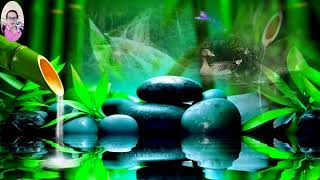 Bamboo Water Fountain Water Sounds with Birds Relaxing Piano Sound Calm for amp Deep Sleep For Wh [upl. by Krystalle89]