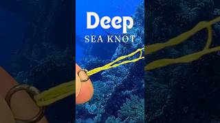 Ultimate deep sea fishing knot [upl. by Adnat]