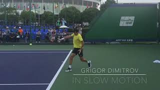 Grigor Dimitrov  Forehand amp Backhand in Slow Motion TENFITMEN Shanghai Masters 2017 [upl. by Niasuh]