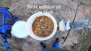 First edition of Goulash see description [upl. by Eeryk675]