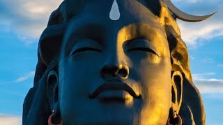 Yogeshwaraya Mahadevaya Archana Tikoo  Sounds of Isha Devotional Chants [upl. by Scott]