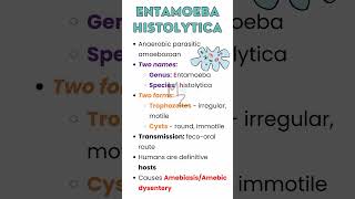 ENTAMOEBA HISTOLYTICA in detail ameba medzukhruf parasitology parasite medicalmicrobiology [upl. by Clova720]